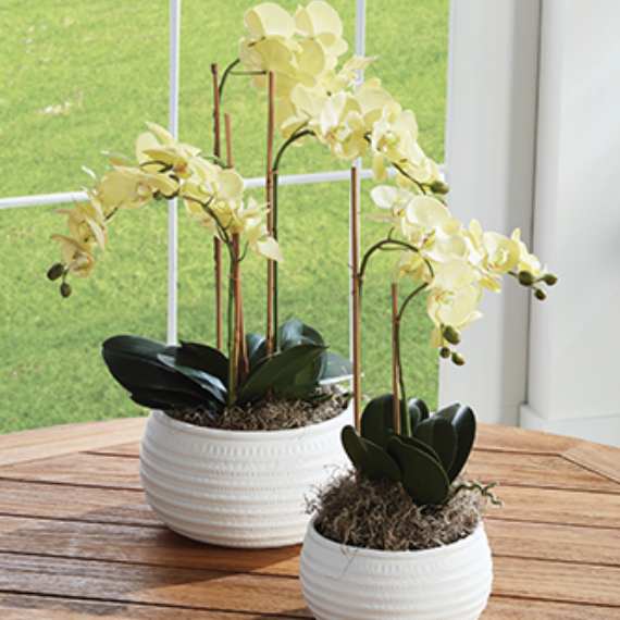 Napa home & garden